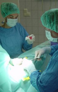 Allgemeine Chirurgie, Arthroskopie und Kolik - Chirurgie
